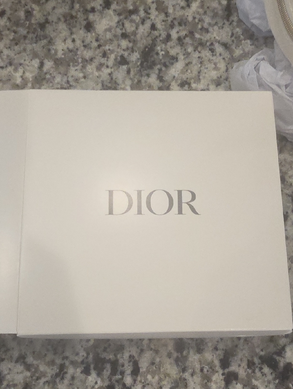 NEW DIOR Parfums Butterfly Embroidered Metallic Cosmetic Pouch! - Picture 11 of 13